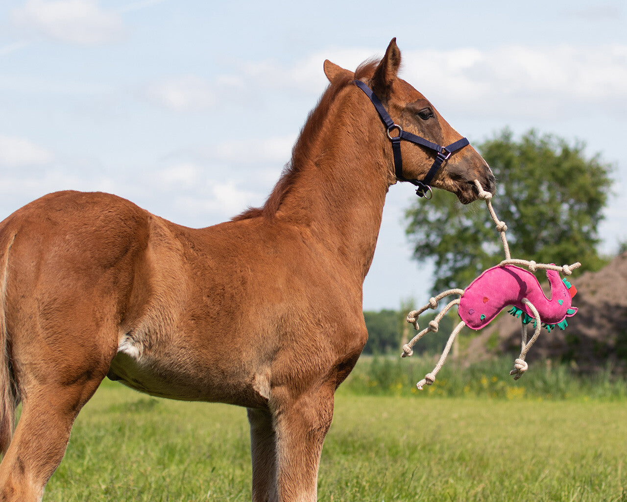 UNICORNO - PUPAZZO PER CAVALLI