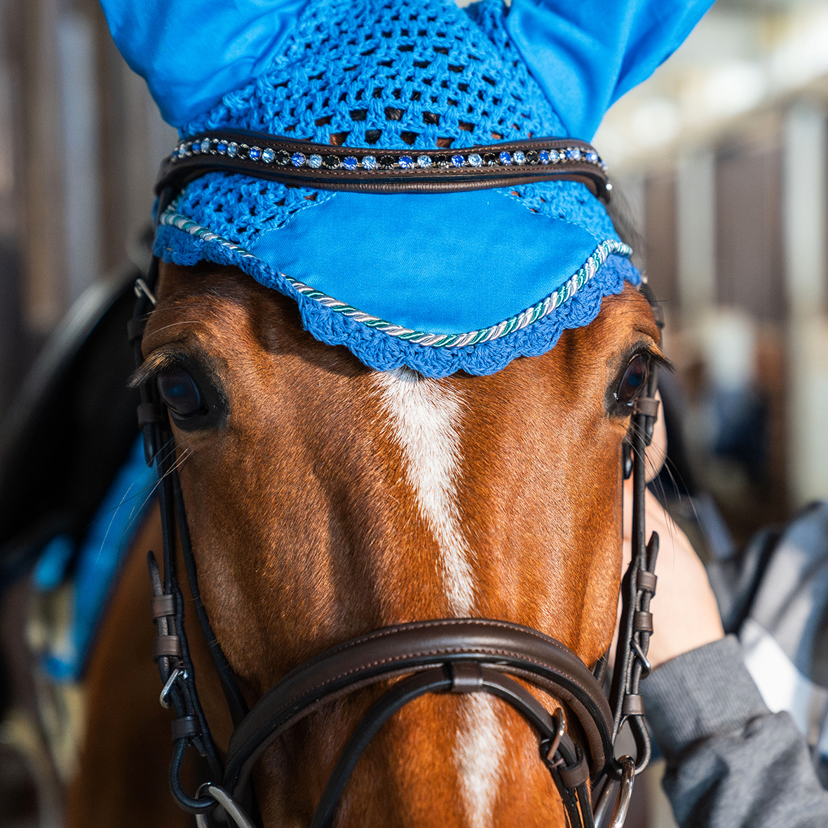 TESTIERA WINNER CRYSTAL CON STRASS BLU