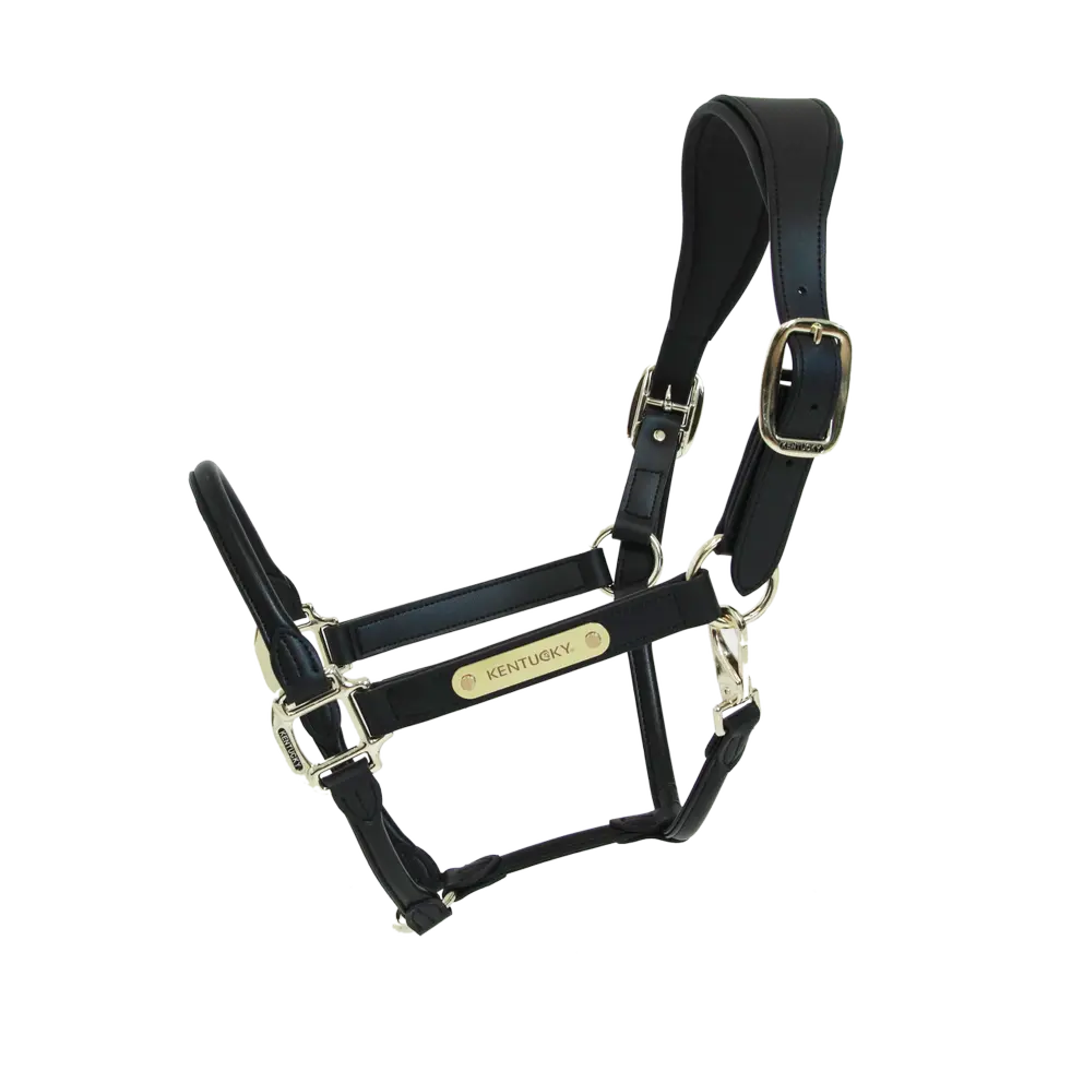 CAPEZZA ANATOMICA IN PELLE