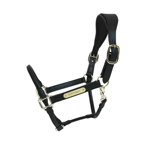 CAPEZZA ANATOMICA IN PELLE