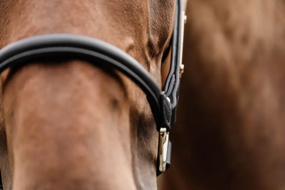 CAPEZZA ANATOMICA IN PELLE