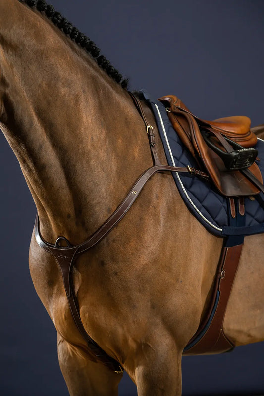 PETTORALE - D COLLECTION