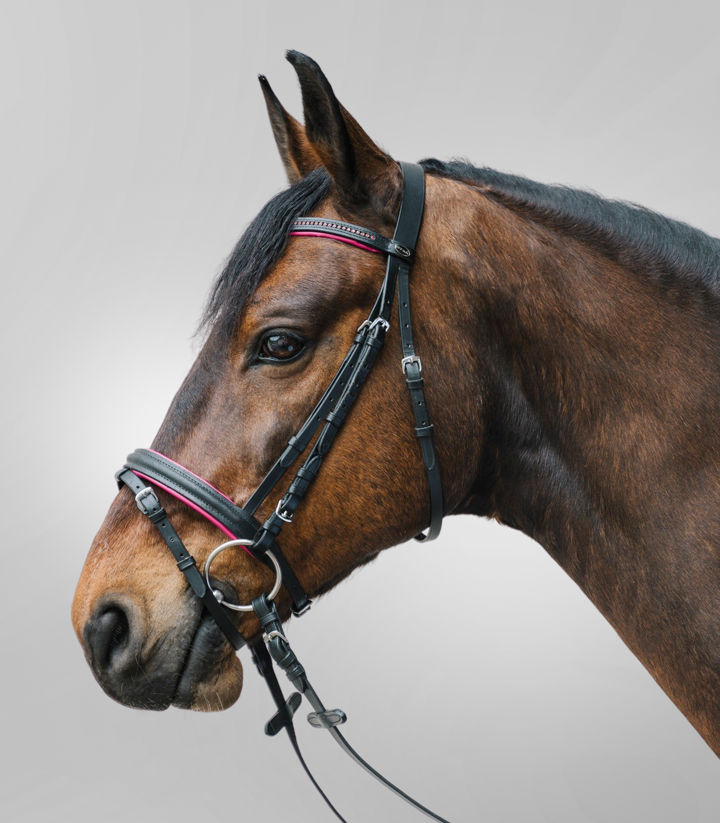 TESTIERA DIAMANT PONY
