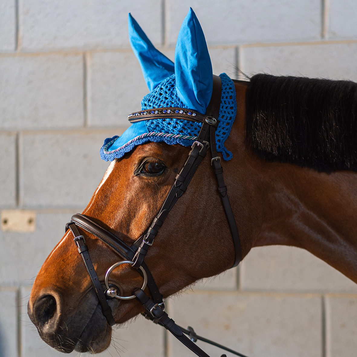 TESTIERA WINNER CRYSTAL CON STRASS BLU