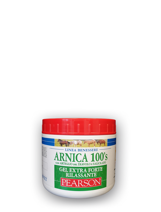 ARNICA 100'S GEL RILASSANTE