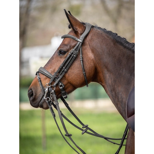 BRIGLIA MEGÈVE - COLLECTION ONE