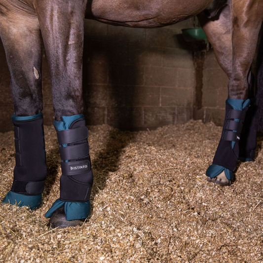 D•ISTINTO STABLE BOOTS SET 4 PEZZI NERI CON CUSCINI OTTANIO