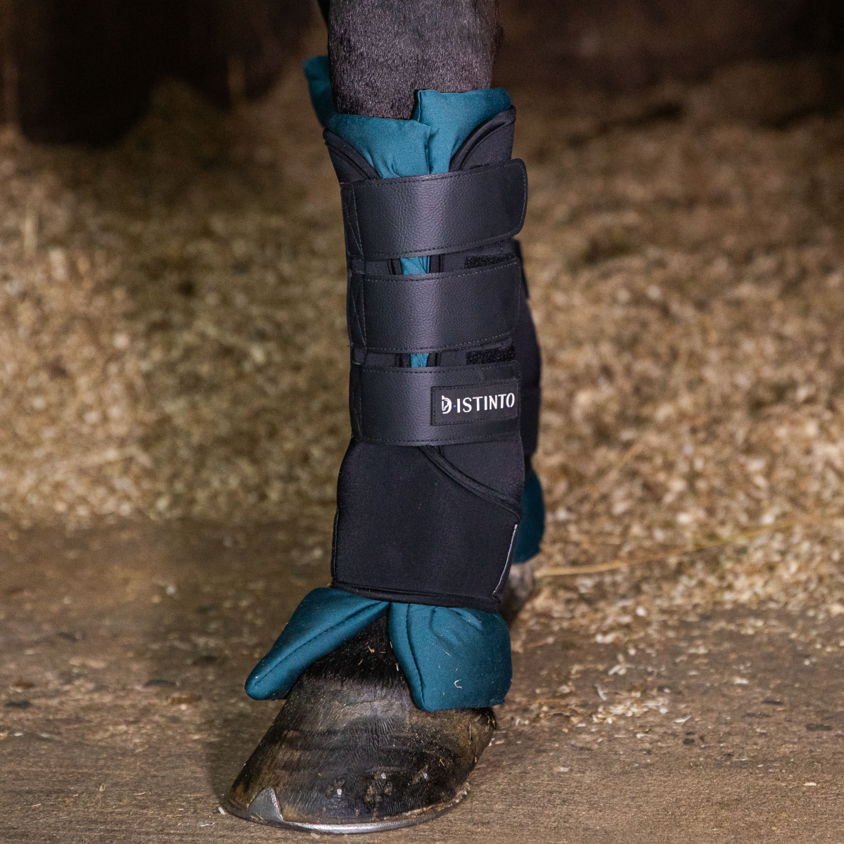 D•ISTINTO STABLE BOOTS SET 4 PEZZI NERI CON CUSCINI OTTANIO