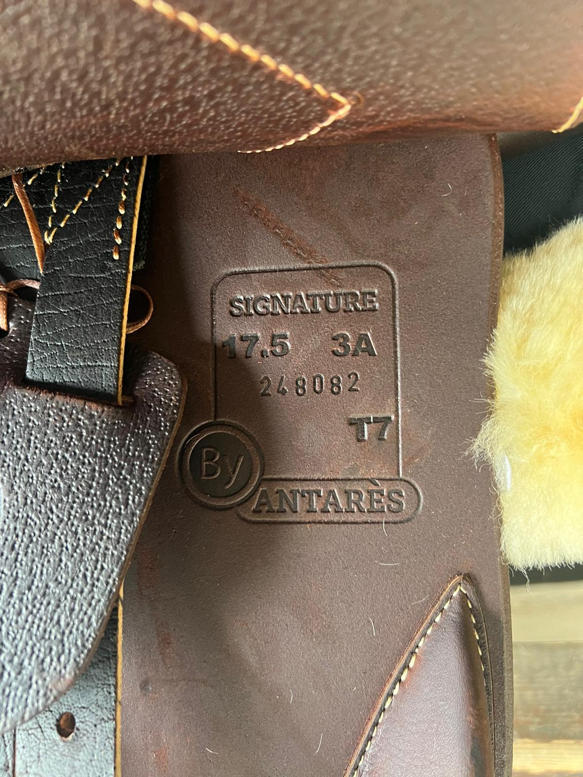 SELLA DA SALTO USATA ANTARÈS