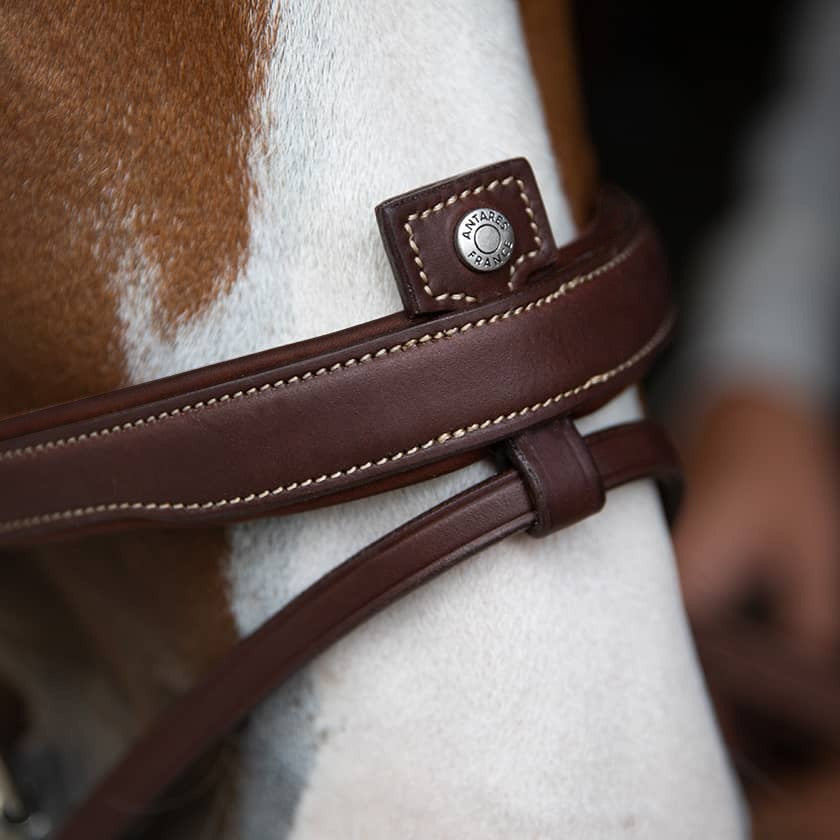 TESTIERA ANATOMICA FLASH NOSE BAND