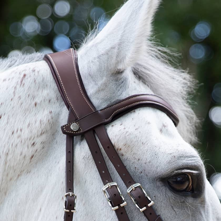 TESTIERA ANATOMICA FLASH NOSE BAND