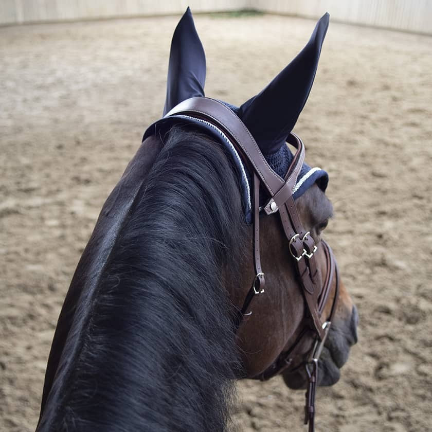 TESTIERA ANATOMICA FLASH NOSE BAND