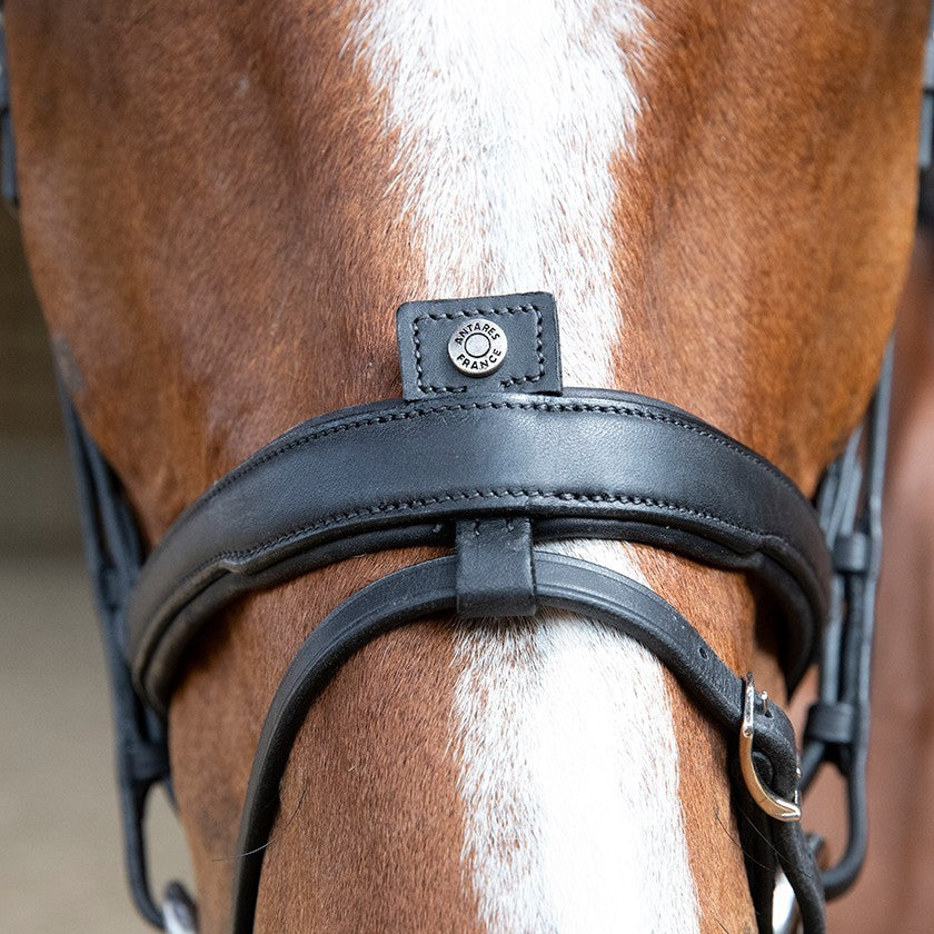 TESTIERA ANATOMICA FLASH NOSE BAND