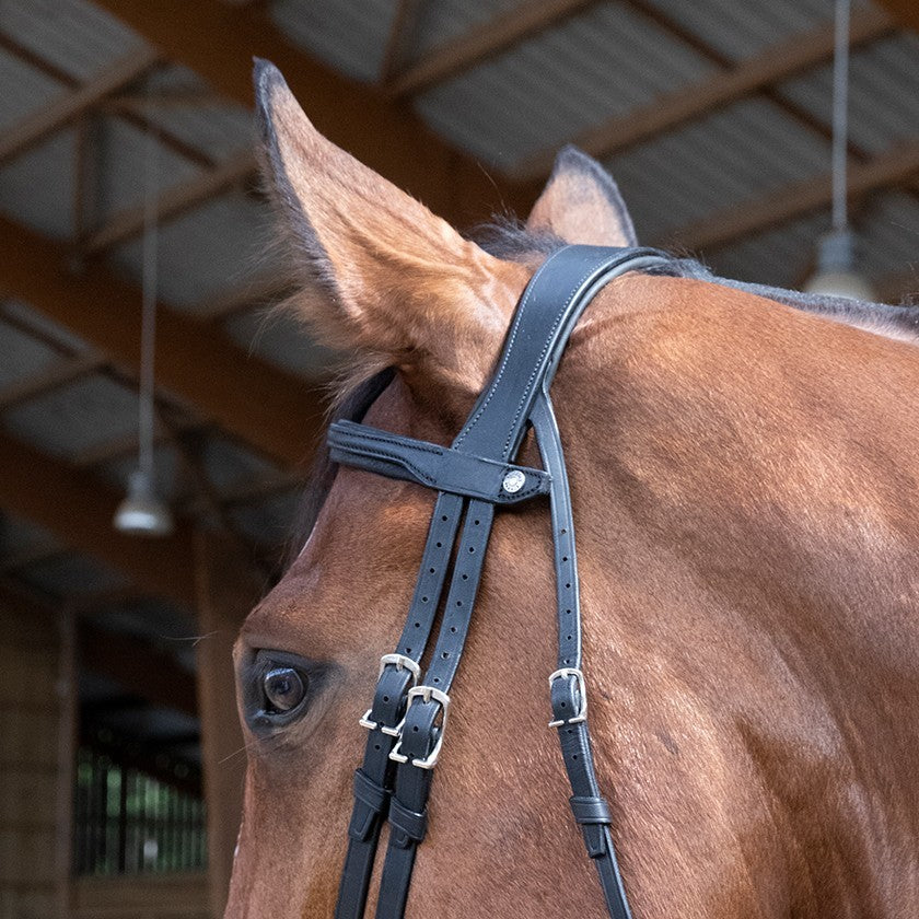 TESTIERA ANATOMICA FLASH NOSE BAND