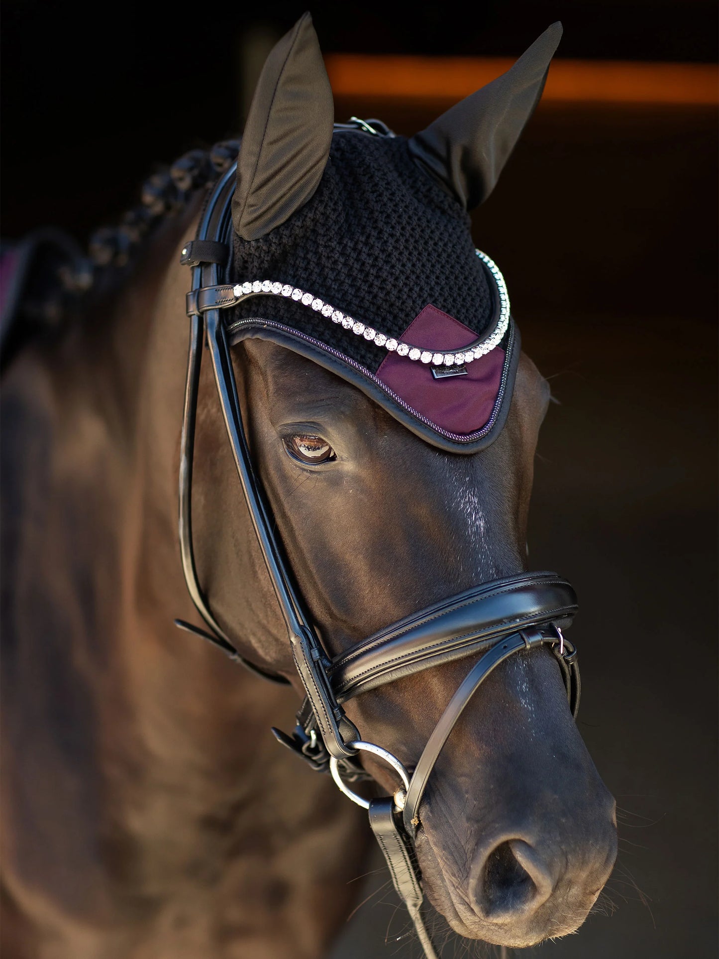 CUFFIETTA - EAR BONNET MODERN PURPLE NIGHT