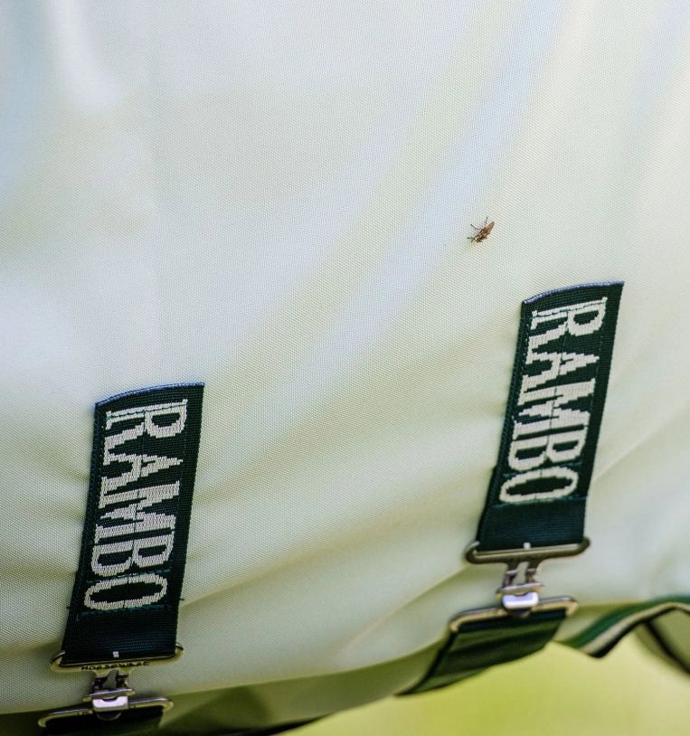 COPERTA RAMBO - HOODY