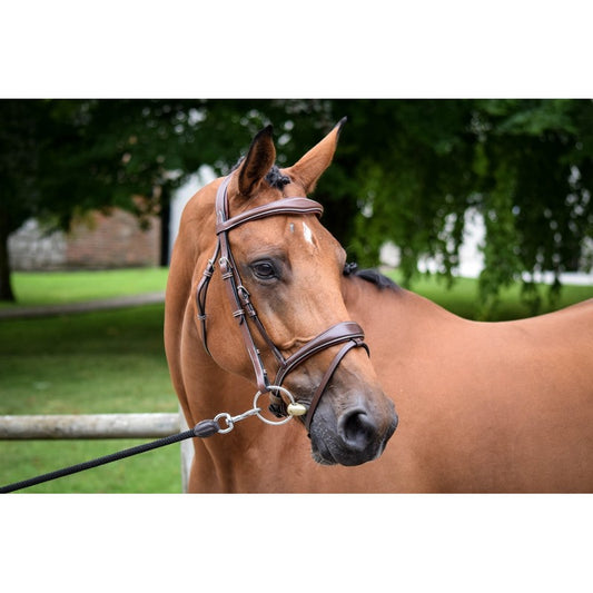 TESTIERA BRIDON BRUXELLES