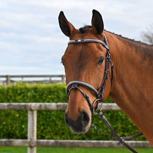 TESTIERA BRIDON CLINCHER