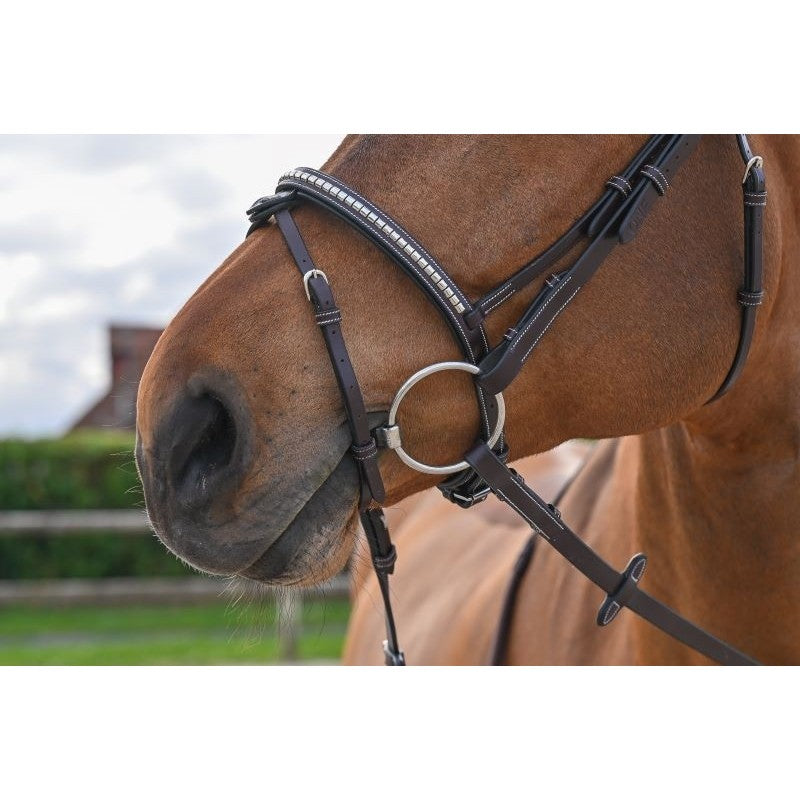 TESTIERA BRIDON CLINCHER