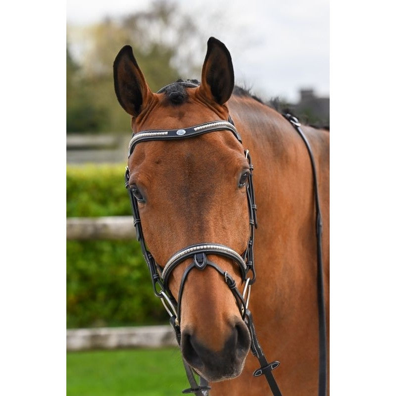 TESTIERA BRIDON CLINCHER