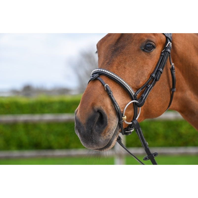 TESTIERA BRIDON CLINCHER