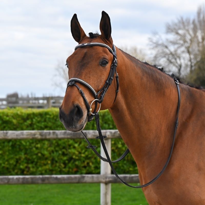 TESTIERA BRIDON CLINCHER