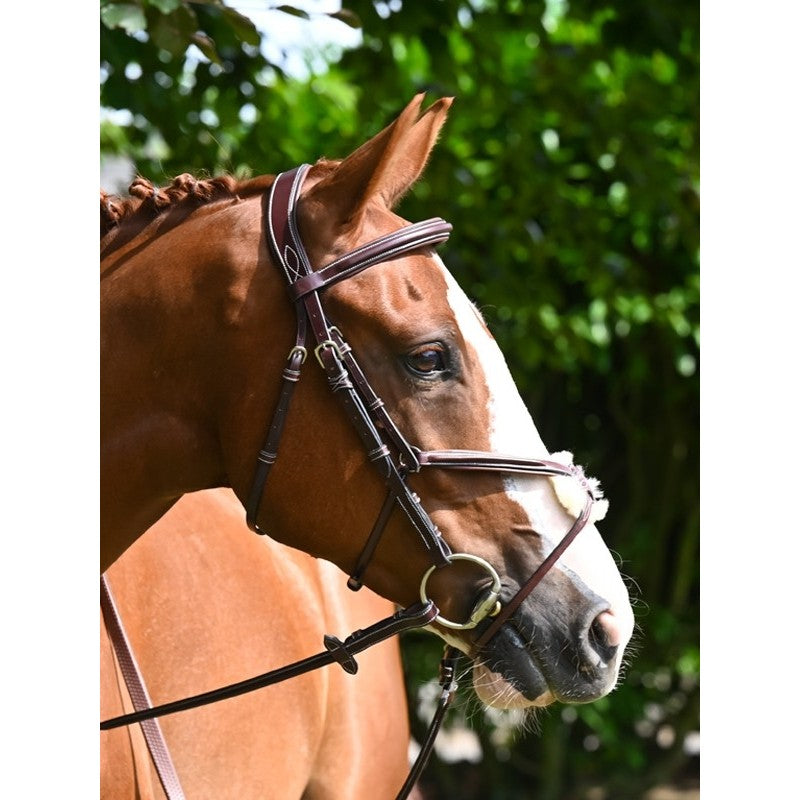 TESTIERA BRIDON TUESDAY