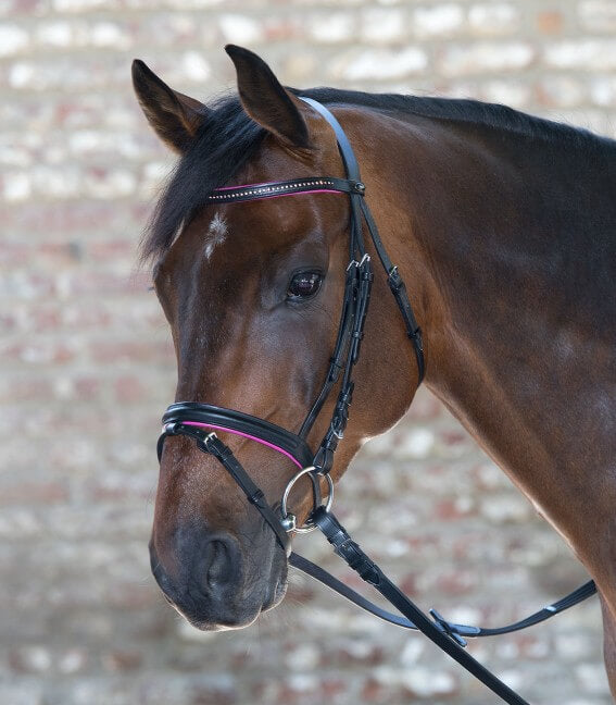 TESTIERA DIAMANT PONY