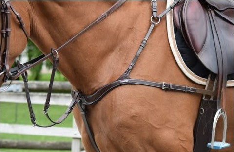 PETTORALE A 5 PUNTE CON MARTINGALA