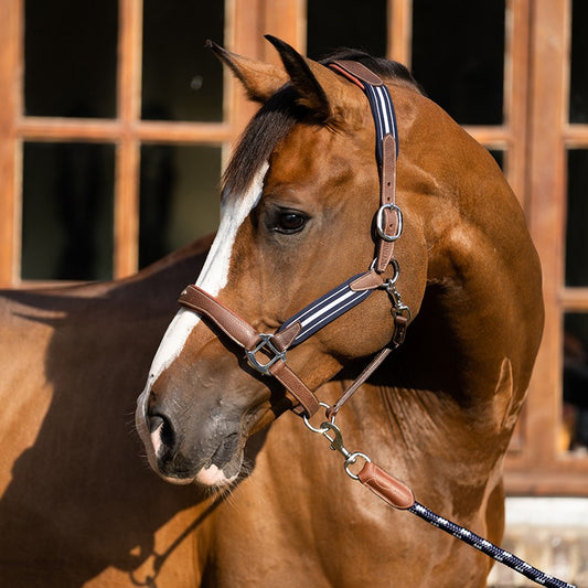 CAPEZZA IN CUOIO  STRESSLESS