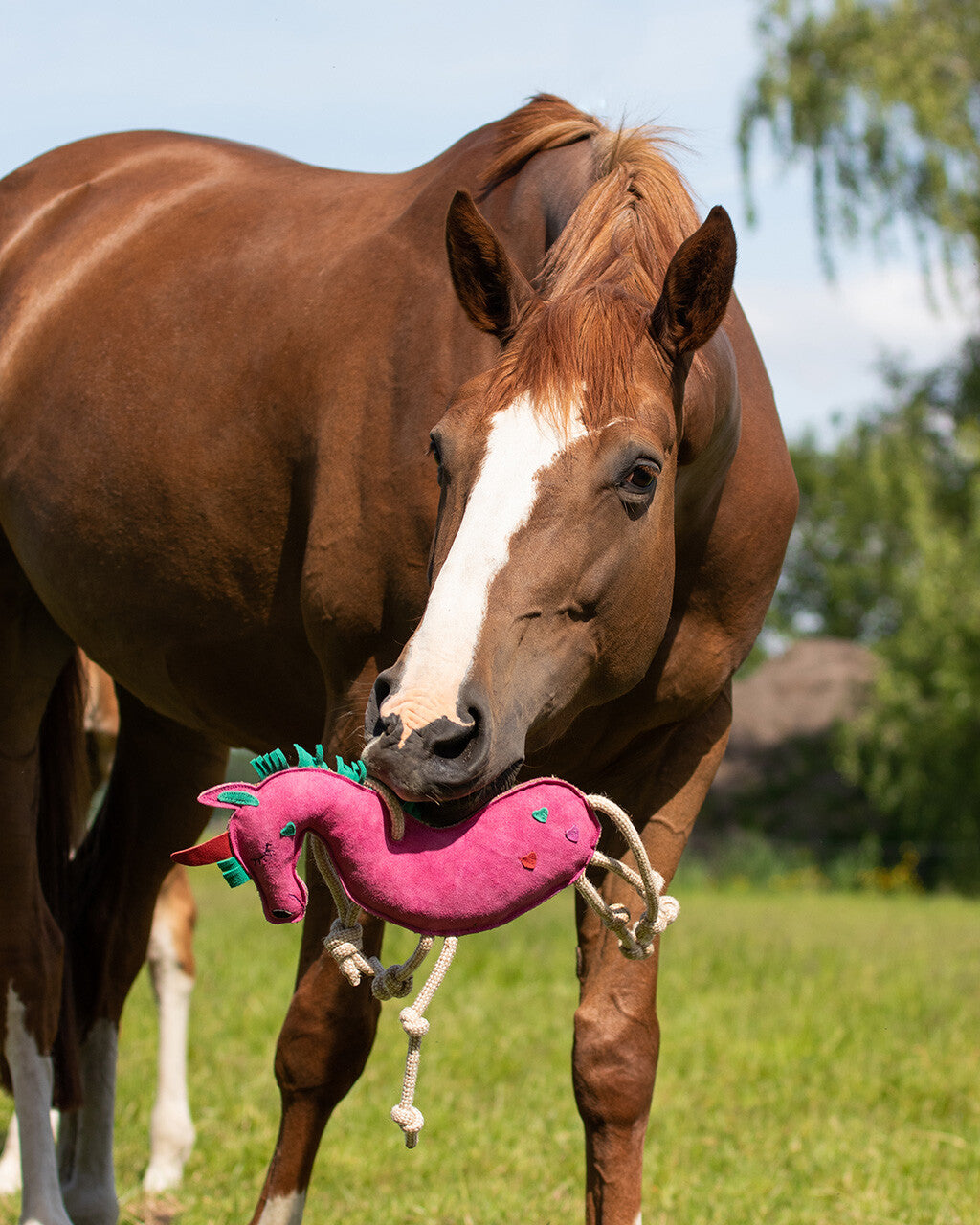 UNICORNO - PUPAZZO PER CAVALLI