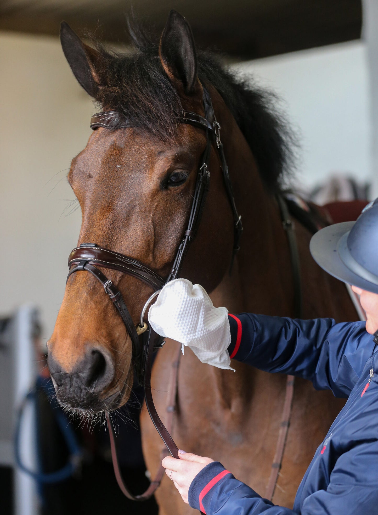 BELVOIR TACK CLEANER MITT - GUANTI MONOUSO