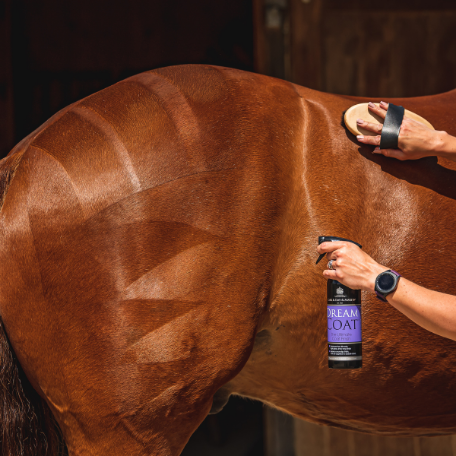 DREAMCOAT - SPRAY LUCIDANTE PER CAVALLI