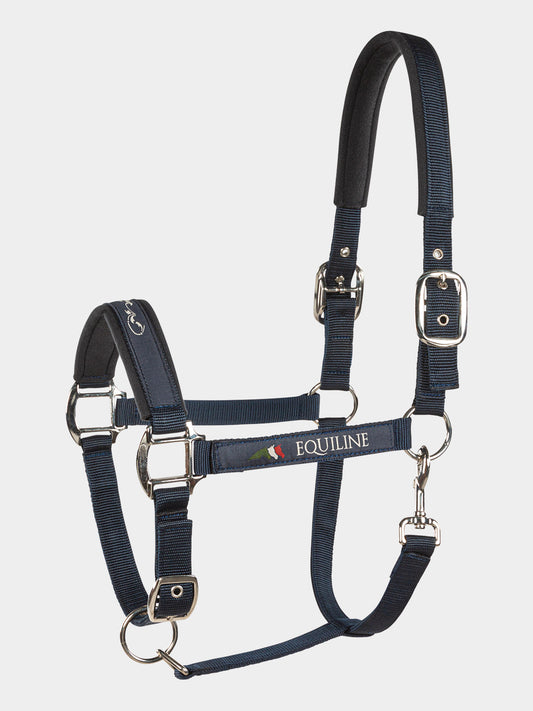 TIMOTHY - CAPEZZA PONY BLU