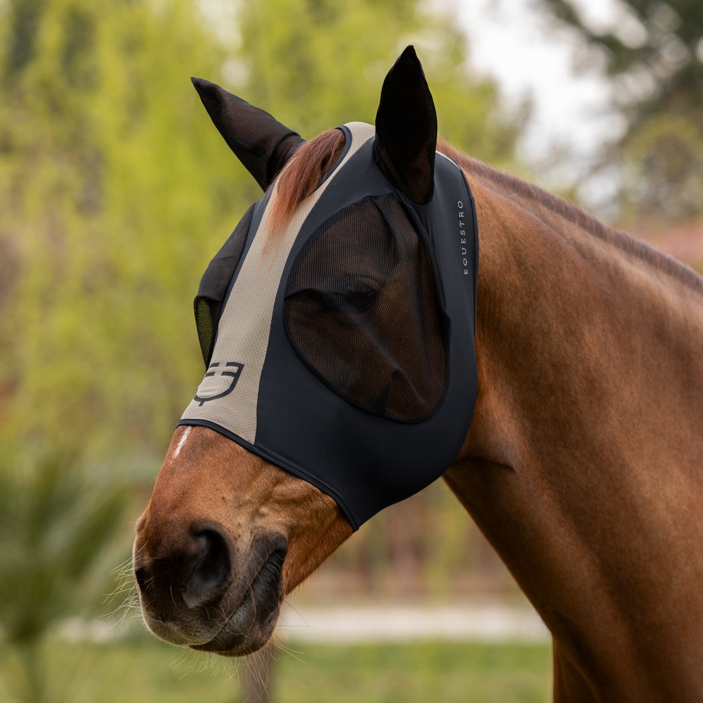 MASCHERA ANTI MOSCHE MESH BICOLORE