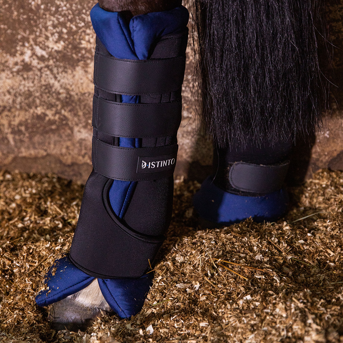 D•ISTINTO STABLE BOOTS SET 4 PEZZI NERI CON CUSCINI BLU