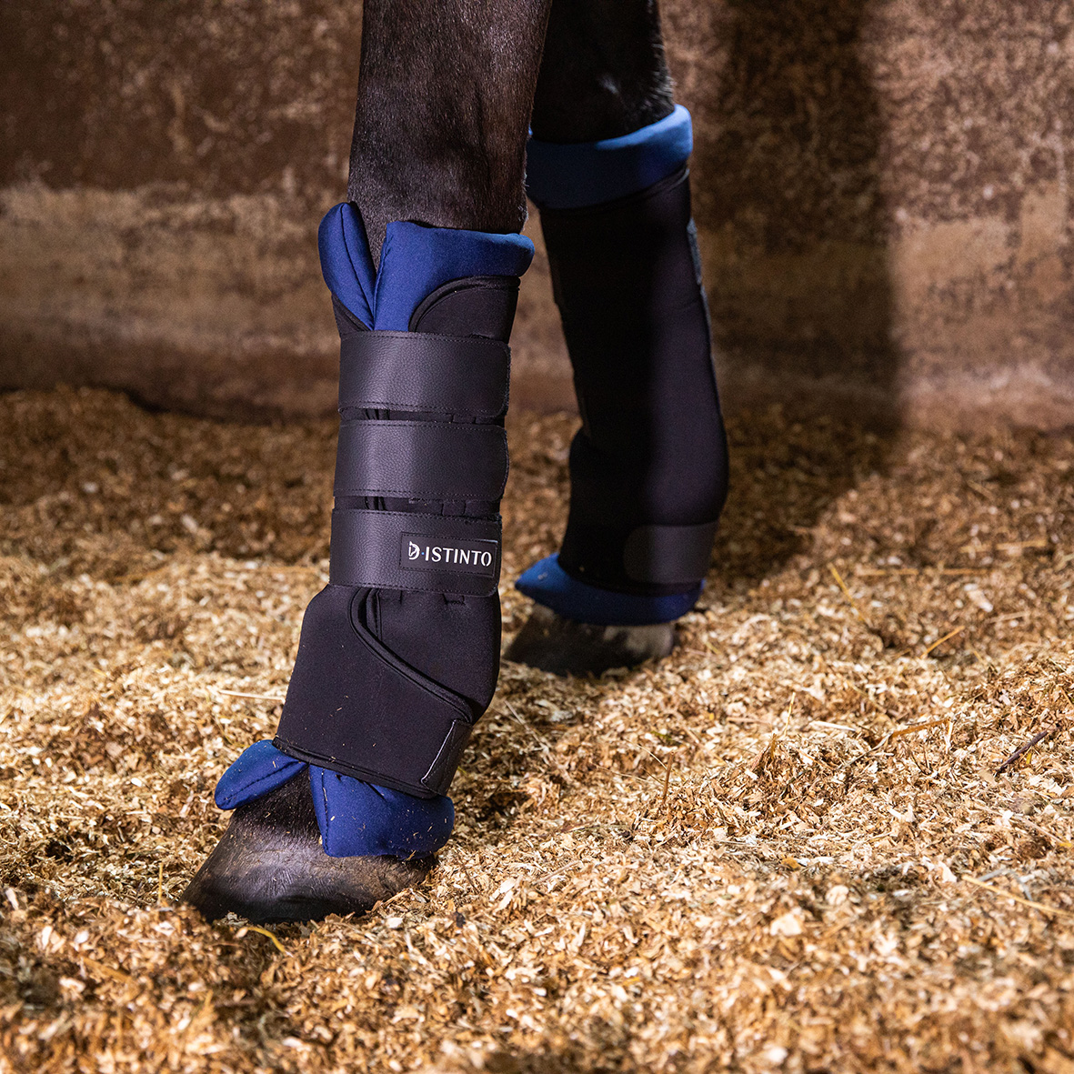 D•ISTINTO STABLE BOOTS SET 4 PEZZI NERI CON CUSCINI BLU