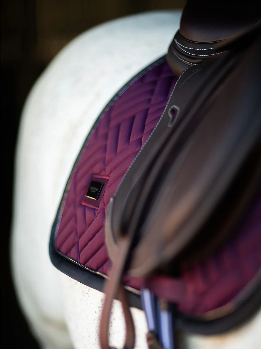 SOTTOSELLA MODERN PURPLE NIGHT