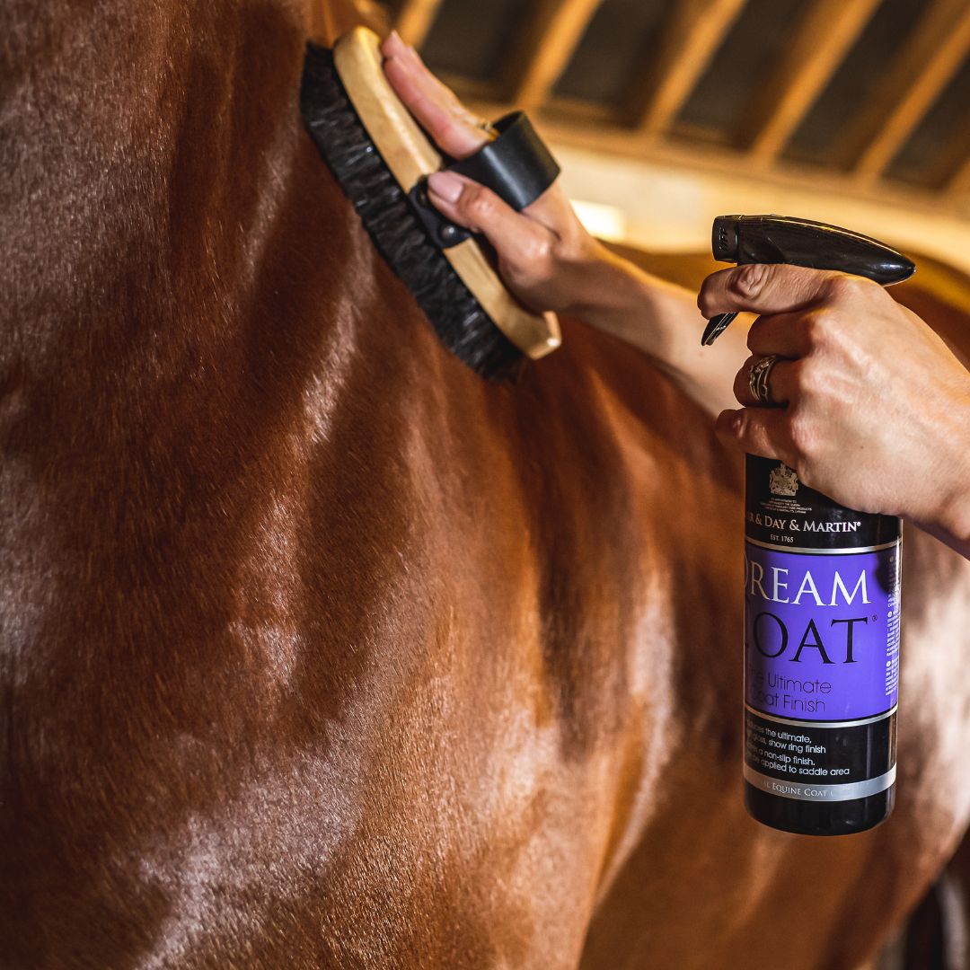 DREAMCOAT - SPRAY LUCIDANTE PER CAVALLI