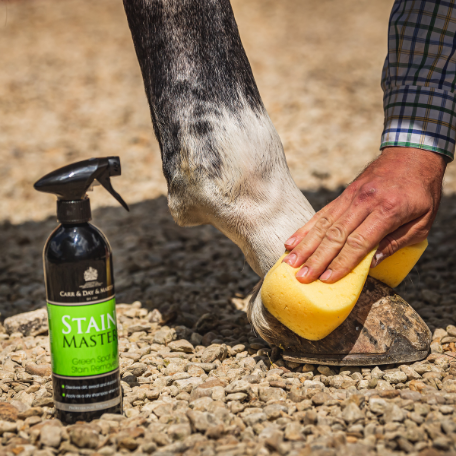 STAINMASTER - SHAMPOO SECCO PER CAVALLI