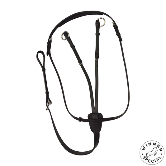 MARTINGALA WINNER SPECIAL A COLLIER