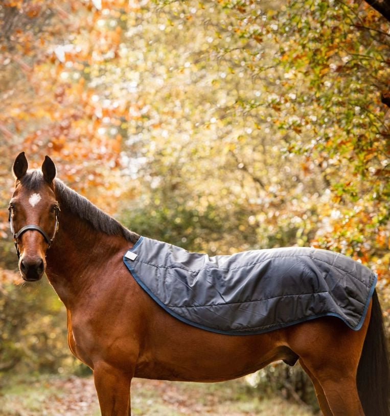 COPERTA RAMBO - AUTUMN SERIES TURNOUT (0g esterno, fodera 100g)