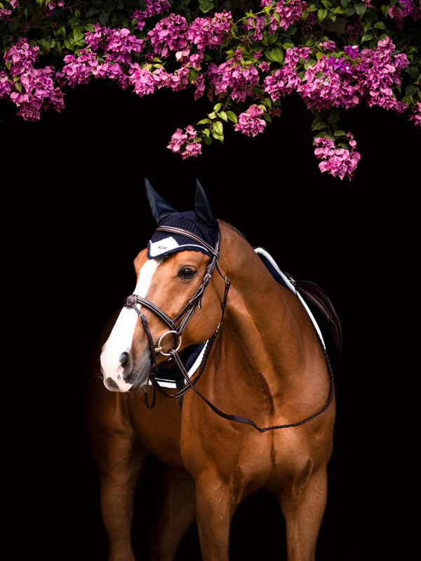 CUFFIETTA - EAR BONNET MIDNIGHT WHITE EDGE