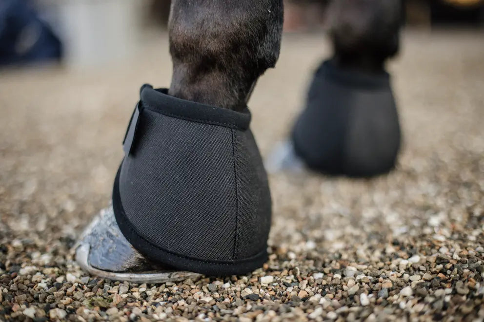 PARAGLOMI KENTUCKY - OVERREACH BOOTS HEEL PROTECTION
